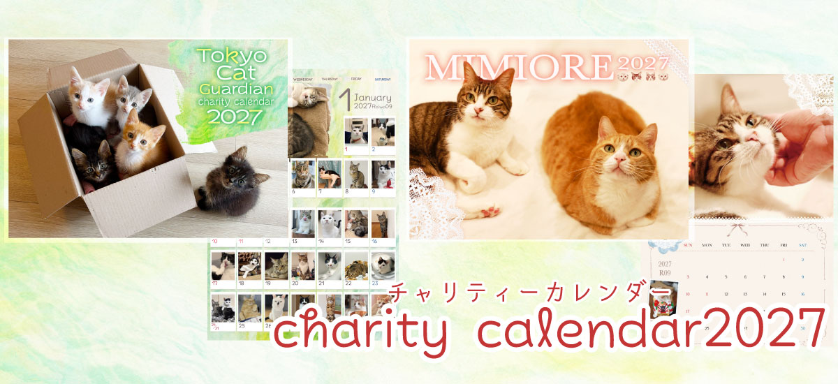 2027calendar-slide-shippotv.jpg