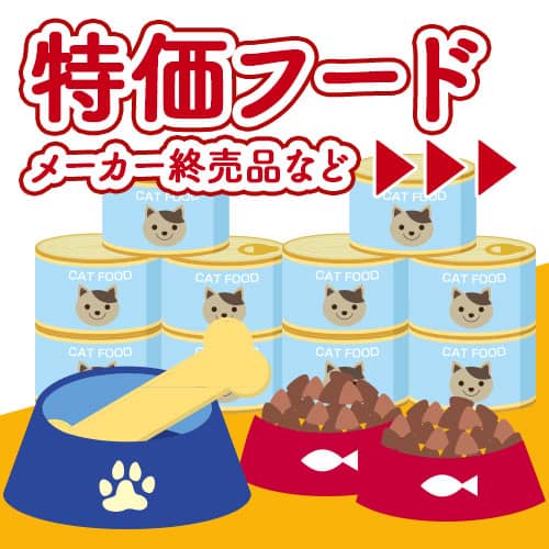 速乾ドライT）猫中毒ロゴTシャツ アイビーグリーン【数量限定・特別