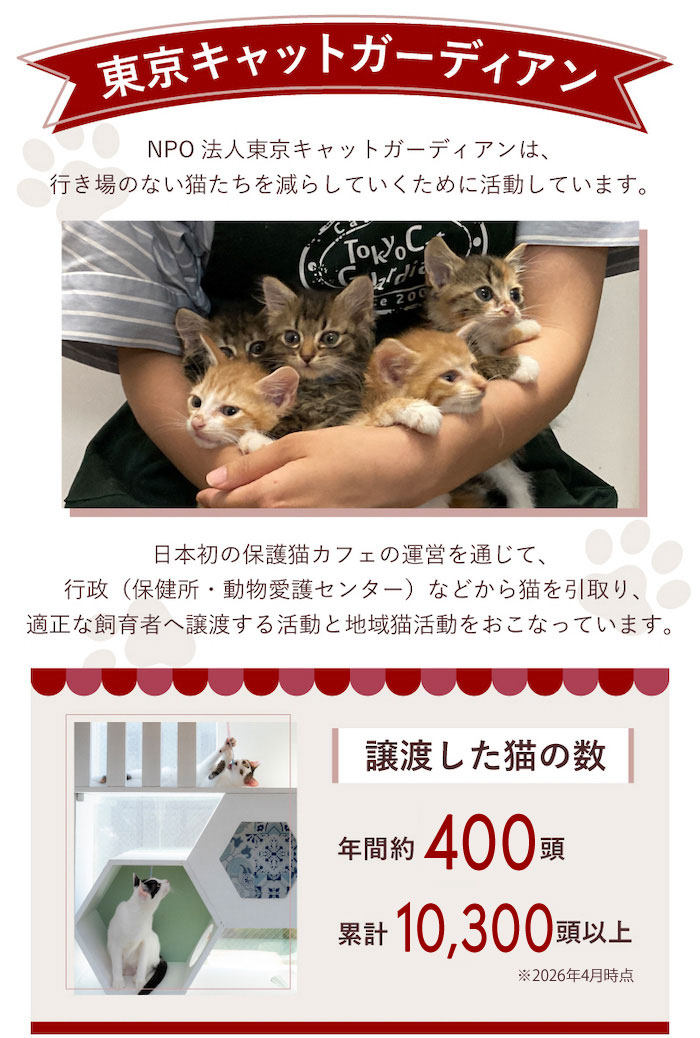 sheba デュオ」の人気商品一覧・価格比較 - 価格.com 【ケース販売