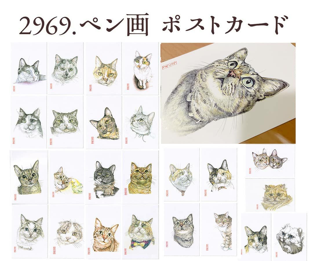 猫作家グッズ | ShippoTV通販部